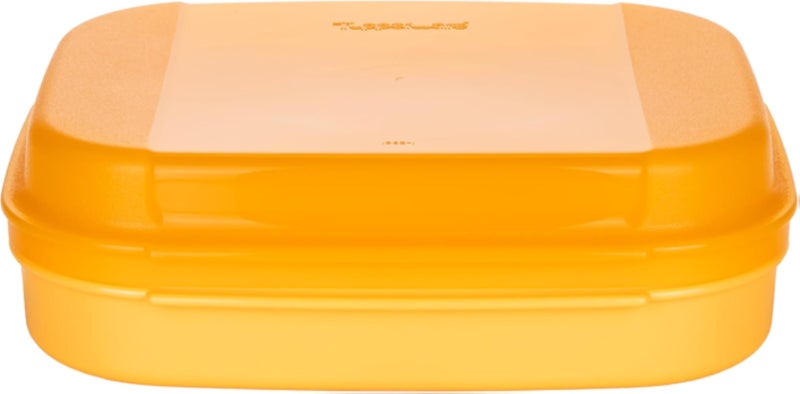 Tupperware Naschkatz 1.1 L Orange Bellevue Storage Container Apollo Lunch Box Biscuit Tin Storage Container with Butterfly Clip